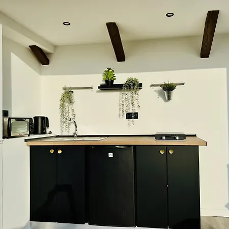 Mini Estudio Málaga